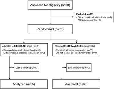 Comparison of continuous popliteal nerve blocks using lidocaine vs. bupivacaine infusions for ambulatory foot surgery: a randomized, double-blind, noninferiority trial